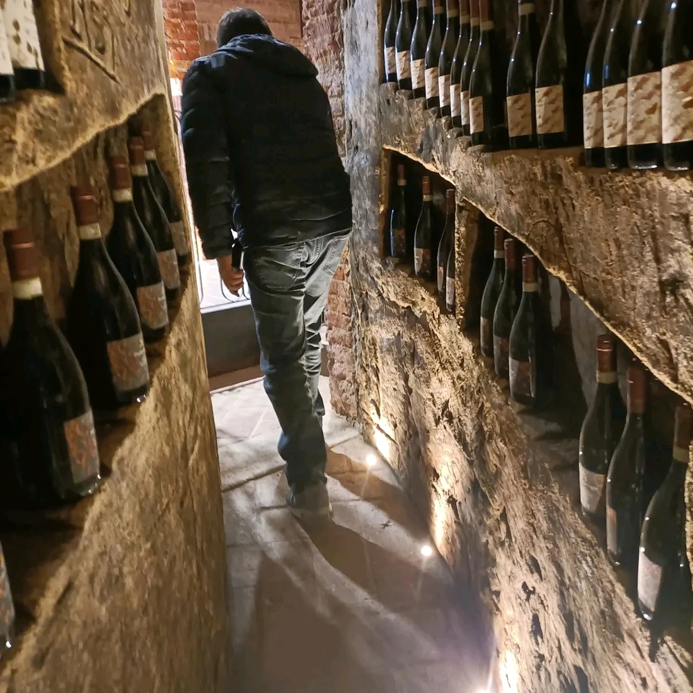 Vitoがアップロードした画像