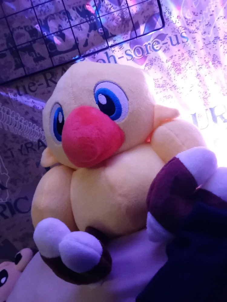 Afbeelding geüpload door Ben