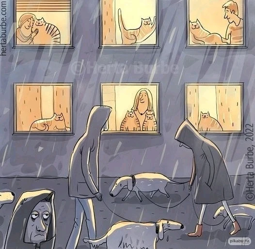 Image uploaded by Soham