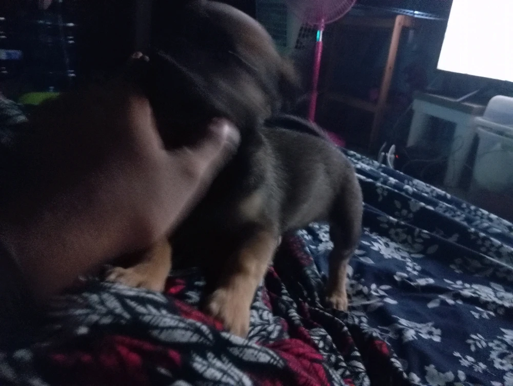 Duab xa los ntawm Brayan "Boo"