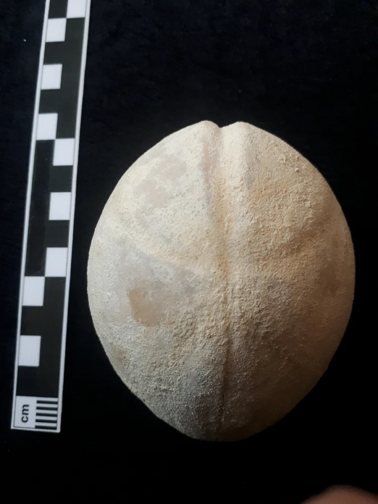 Bild hochgeladen von Herbert = ᚺᛖᚱᛒᛖᚱᛏ