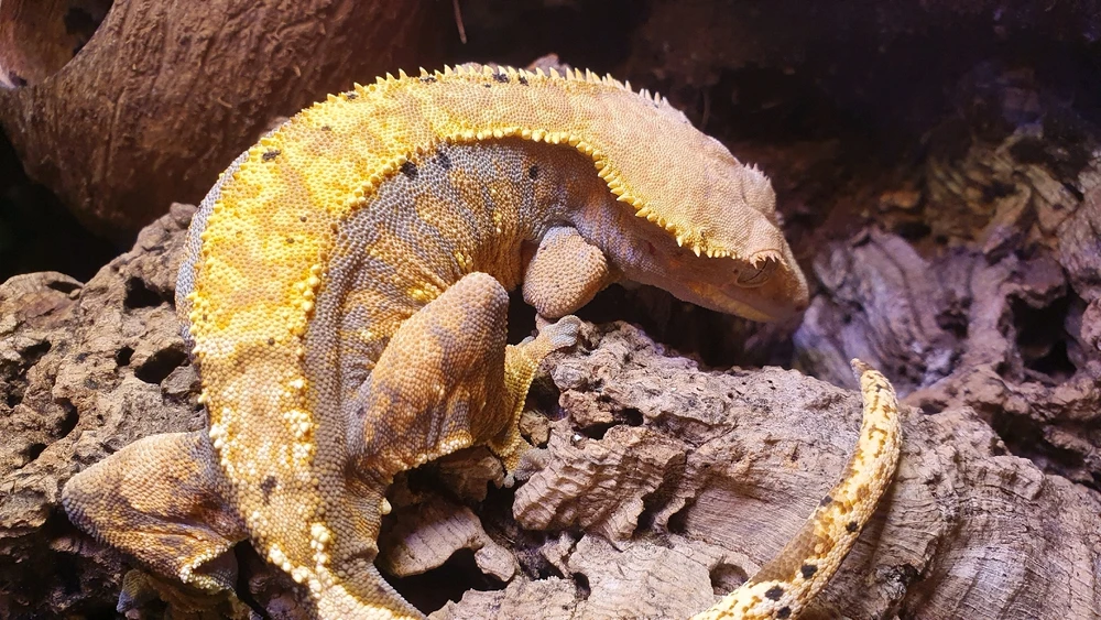 Bilde lastet opp av Marius