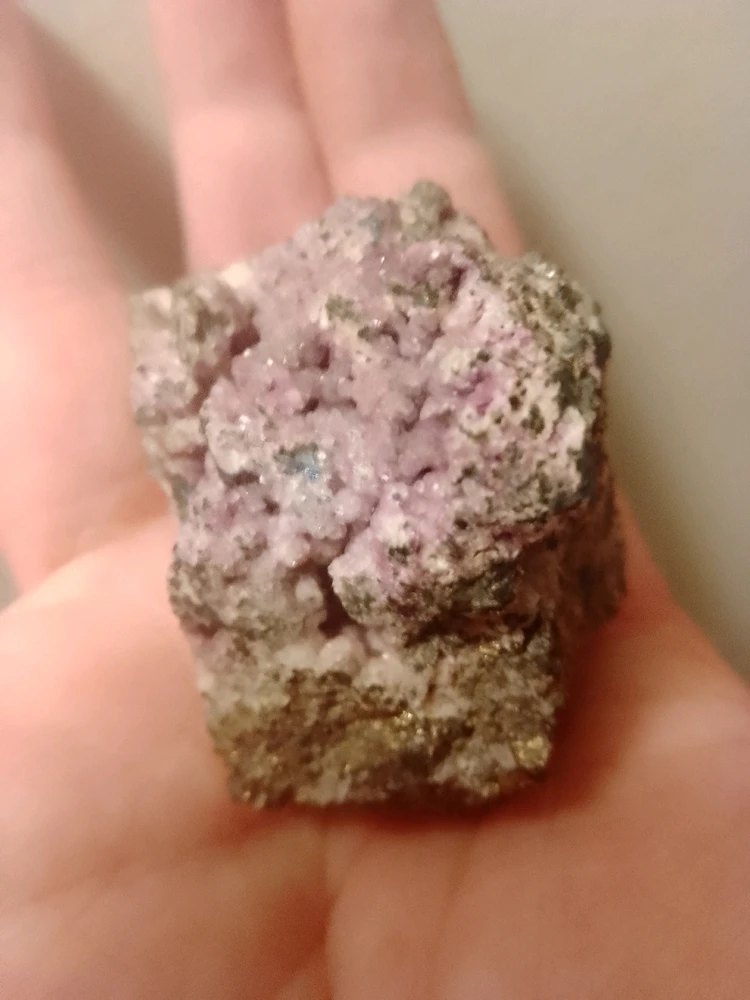 Image uploaded by Katlyne