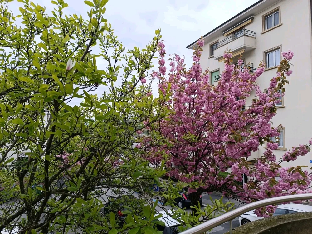 Image uploaded by Al Hamad