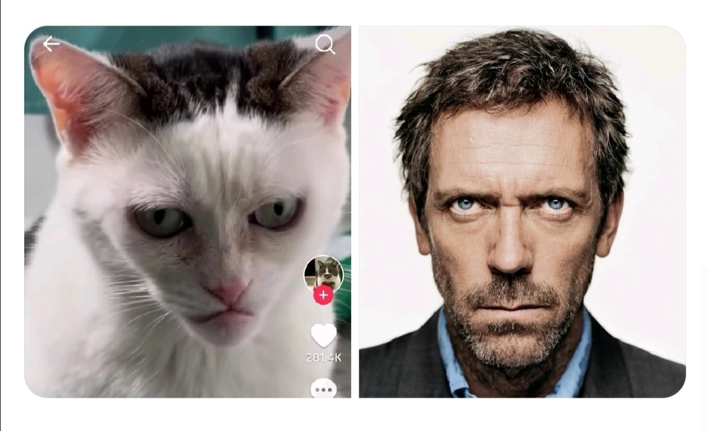 Image uploaded by clemmie