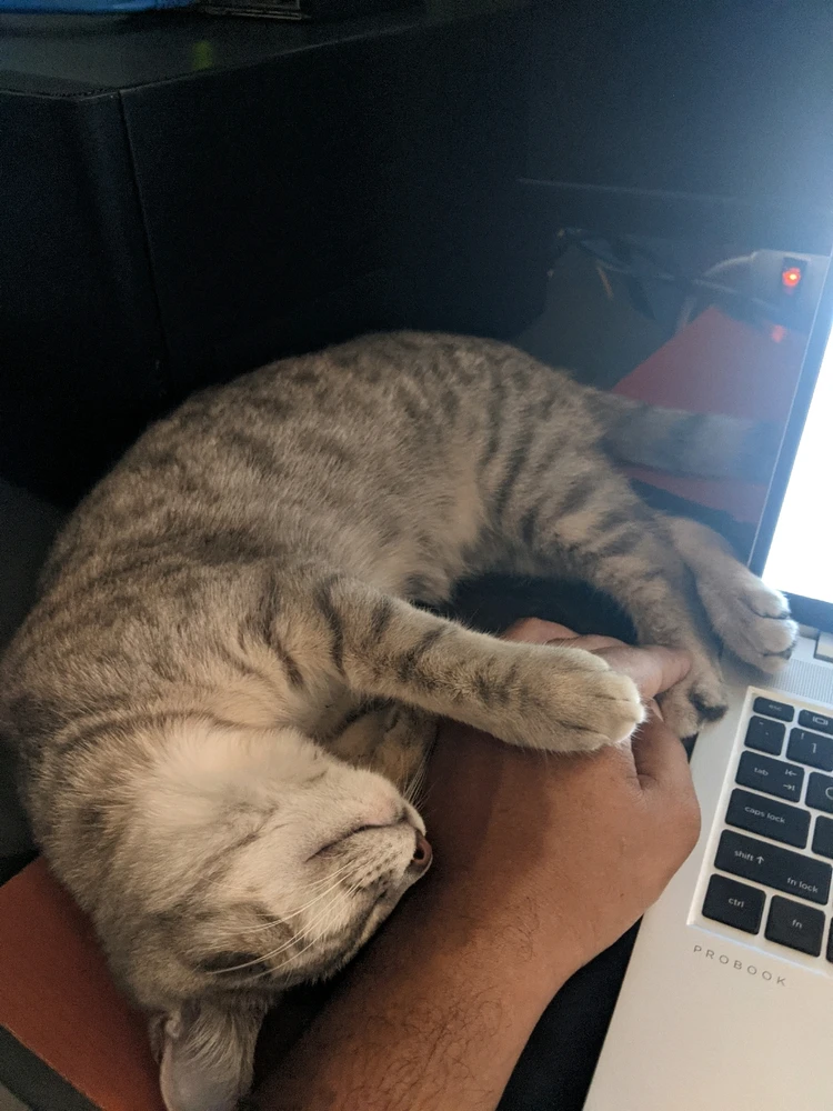 Image uploaded by Marlo