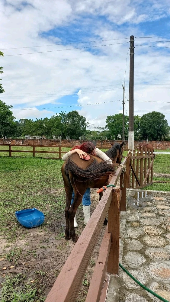 Imagem enviada por Isabelly