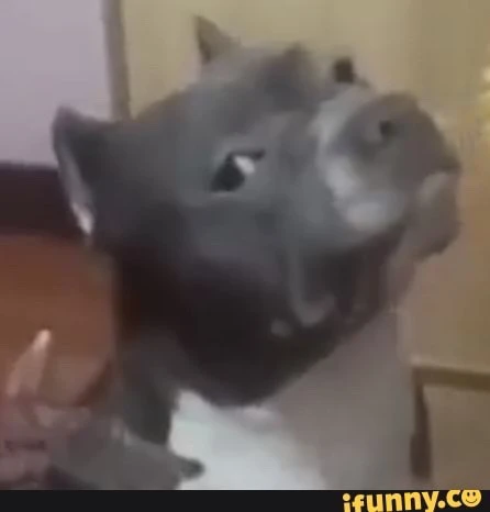 Image uploaded by Jaiden