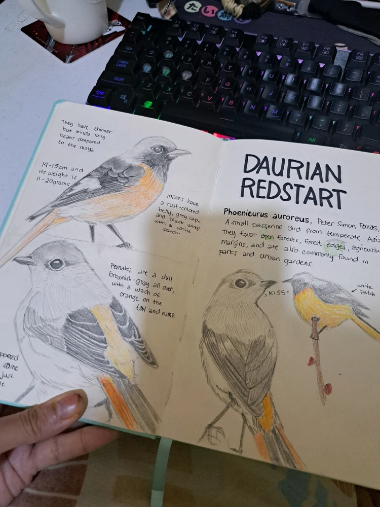 Image uploaded by Kitt