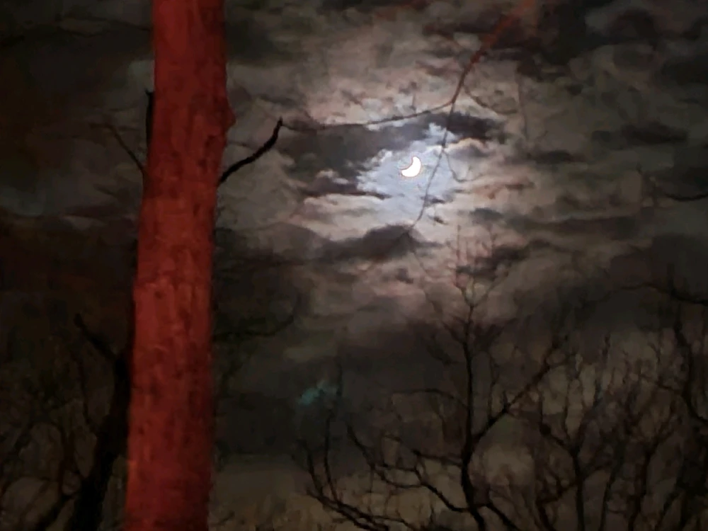 Image uploaded by Brian