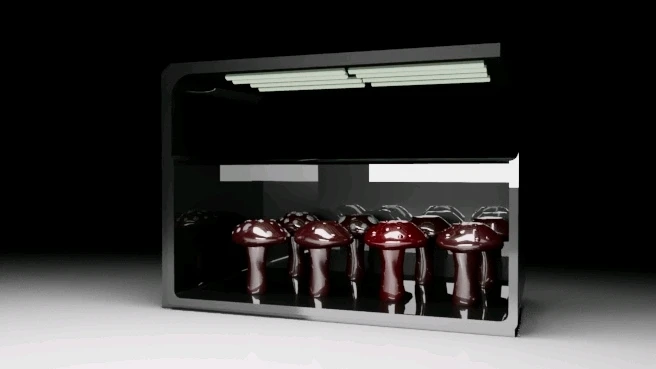 Gambar diunggah dening Tayah