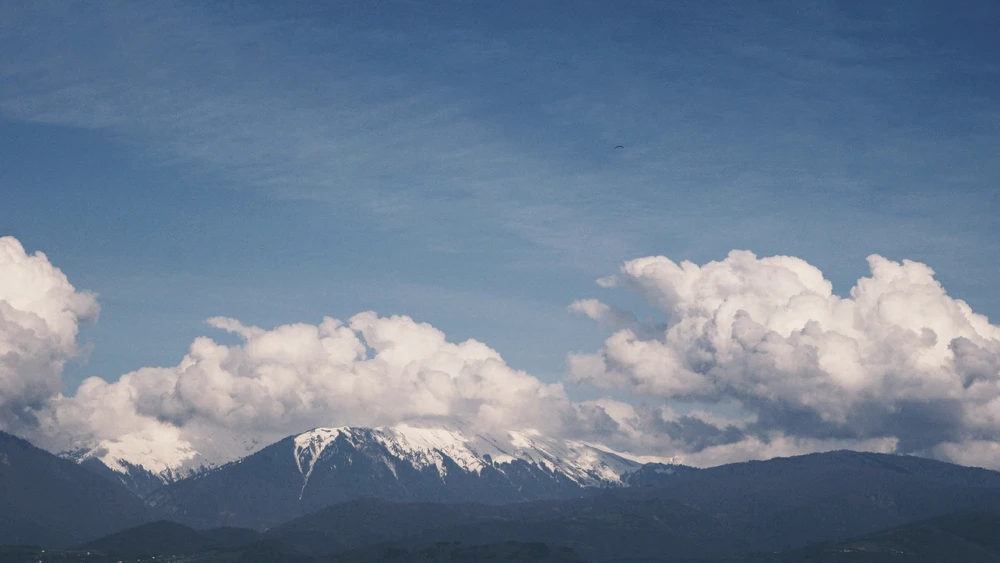 Фото загрузил Anna