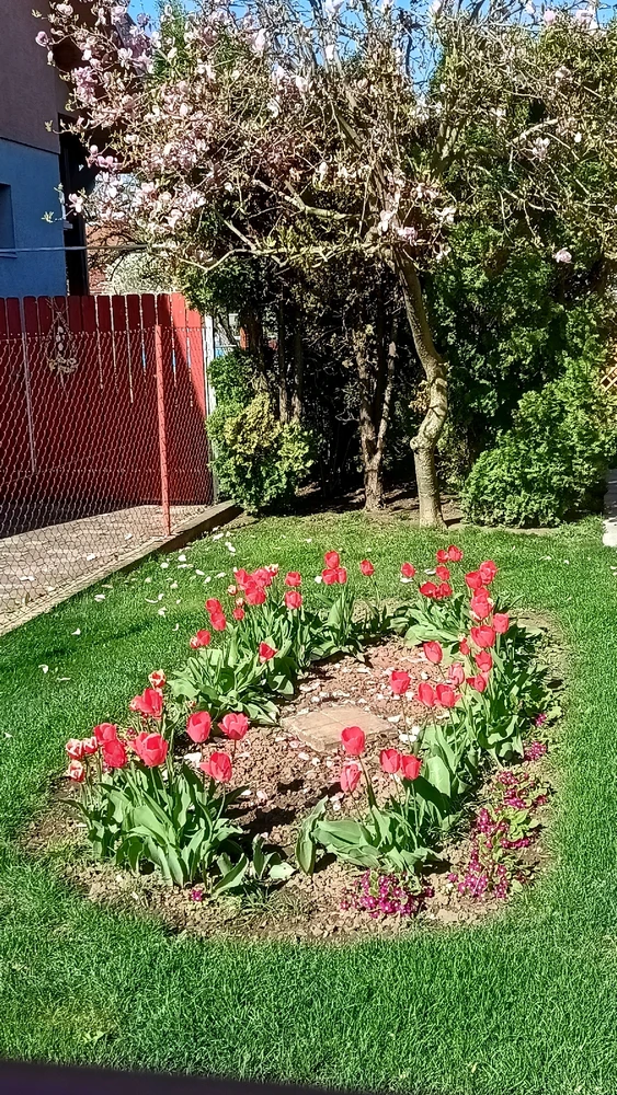 Image uploaded by Vladislav Efimov