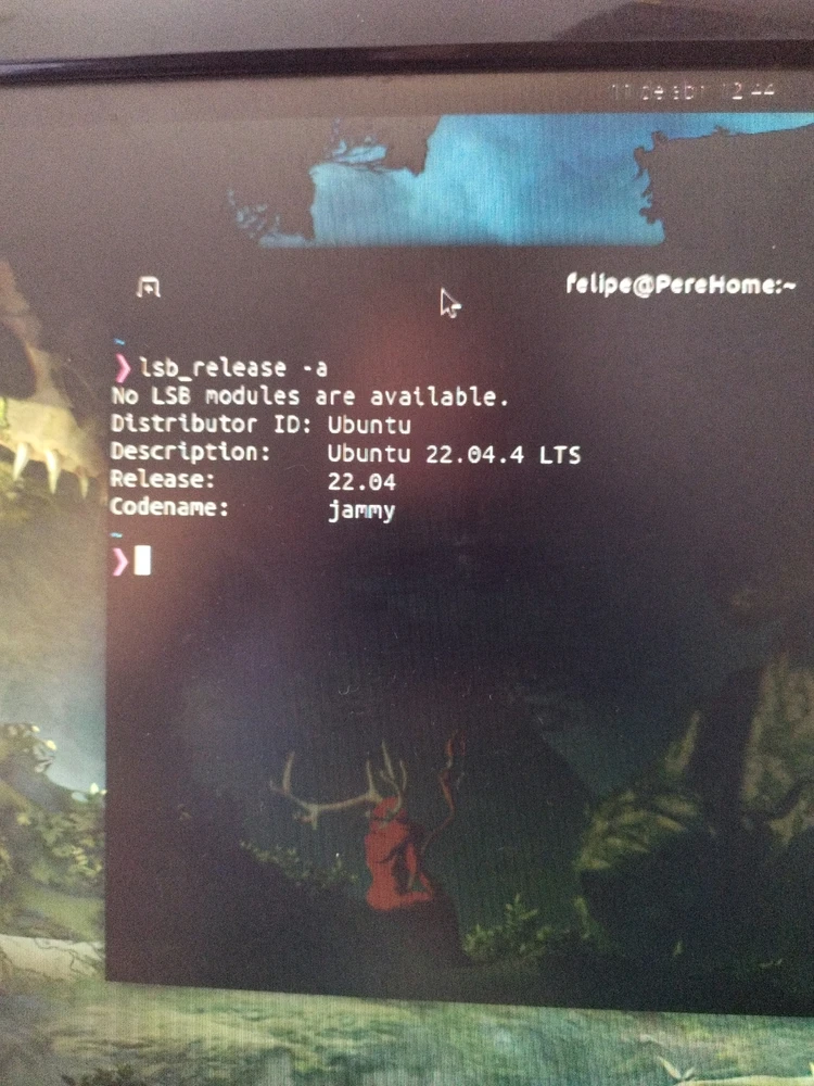 Terminal Linux exibindo a versão atual 