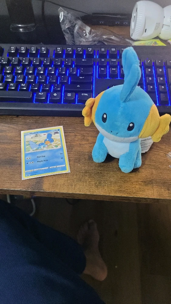Just some cute Pokémon over here