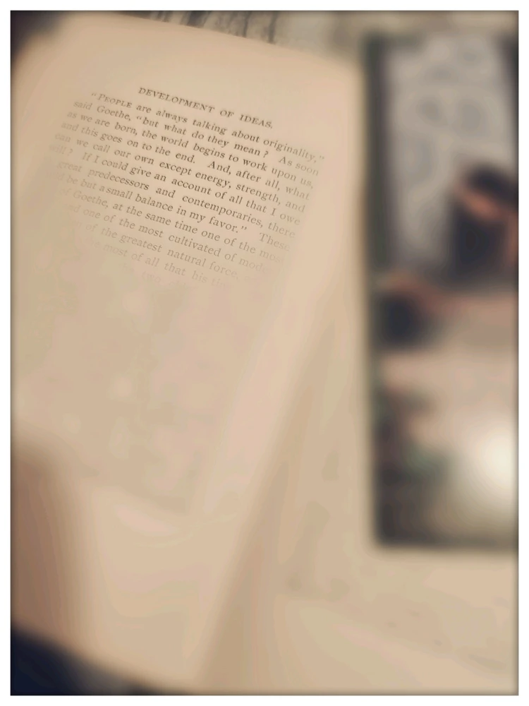 Image uploaded by Stephen P.