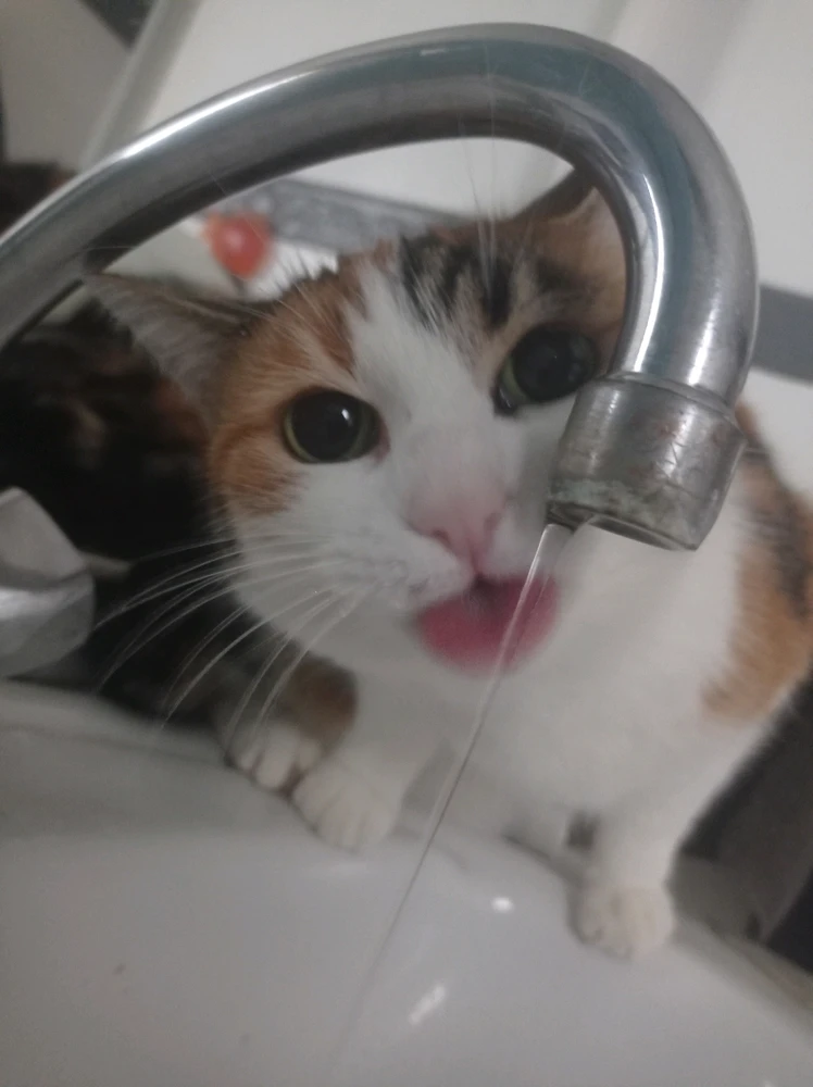 Image ajoutée par Raphaël