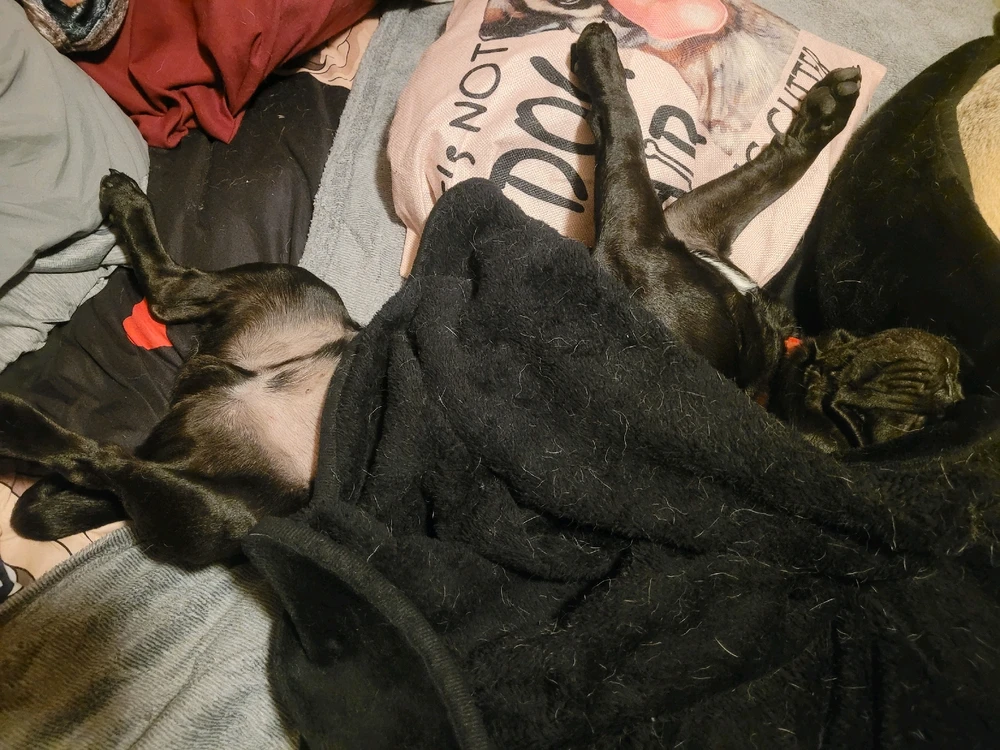 Image uploaded by Jessica