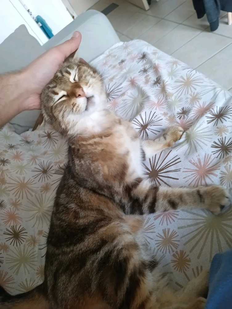 Image uploaded by Kris