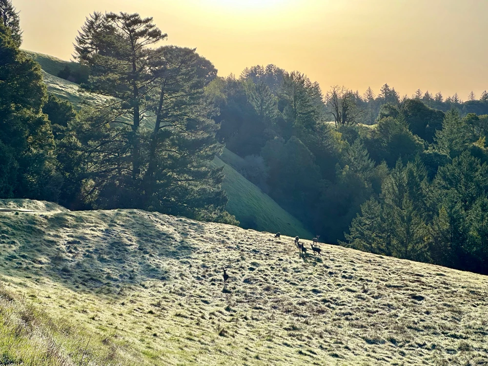 Image uploaded by Puneet