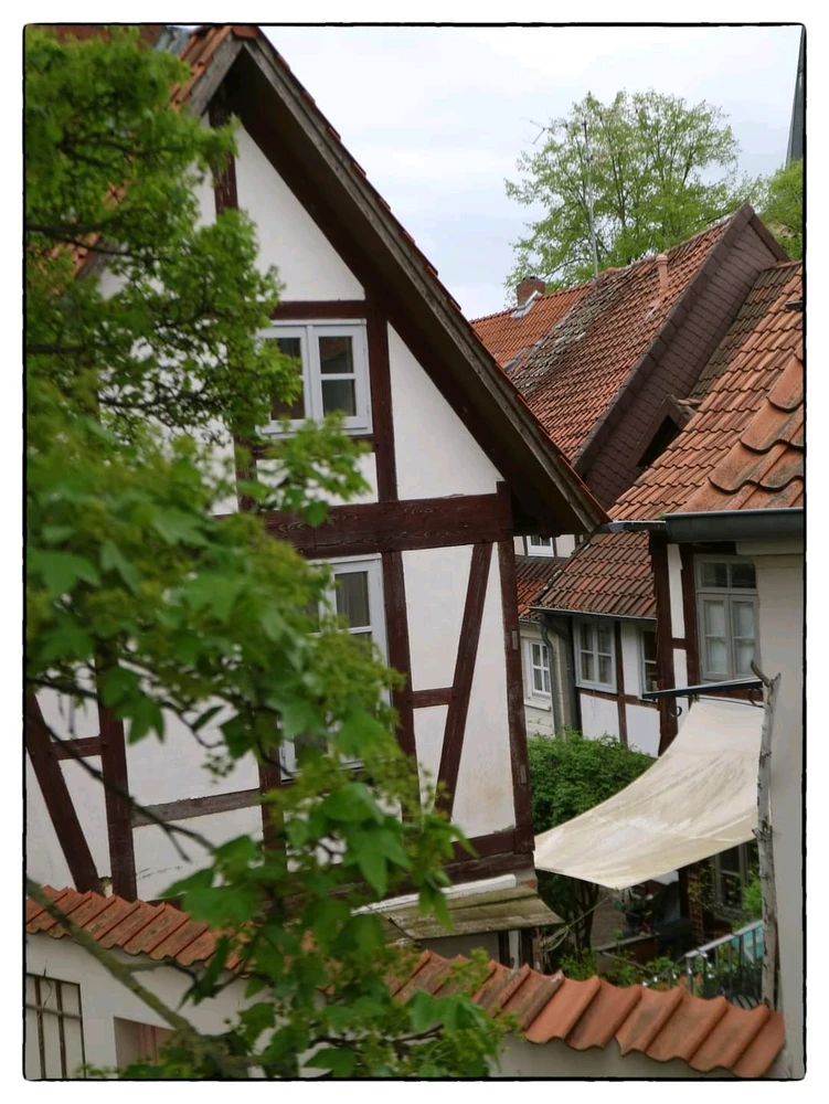 Bild hochgeladen von Dennis