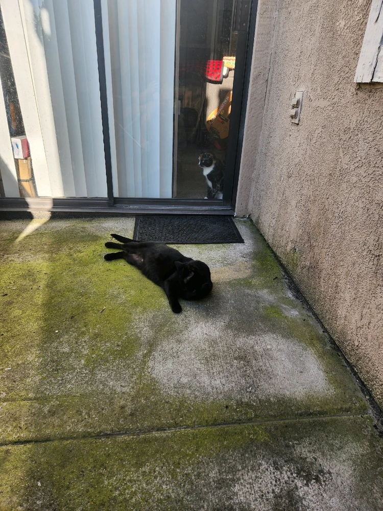 Image uploaded by Izaak