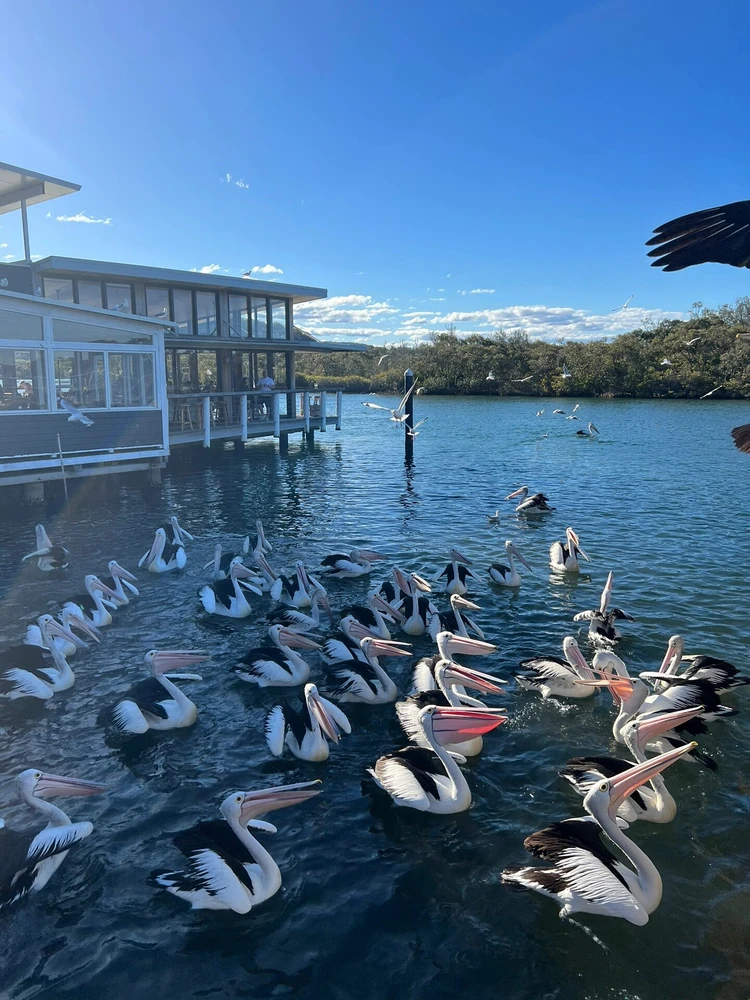 崔曼丽님이 올린 사진