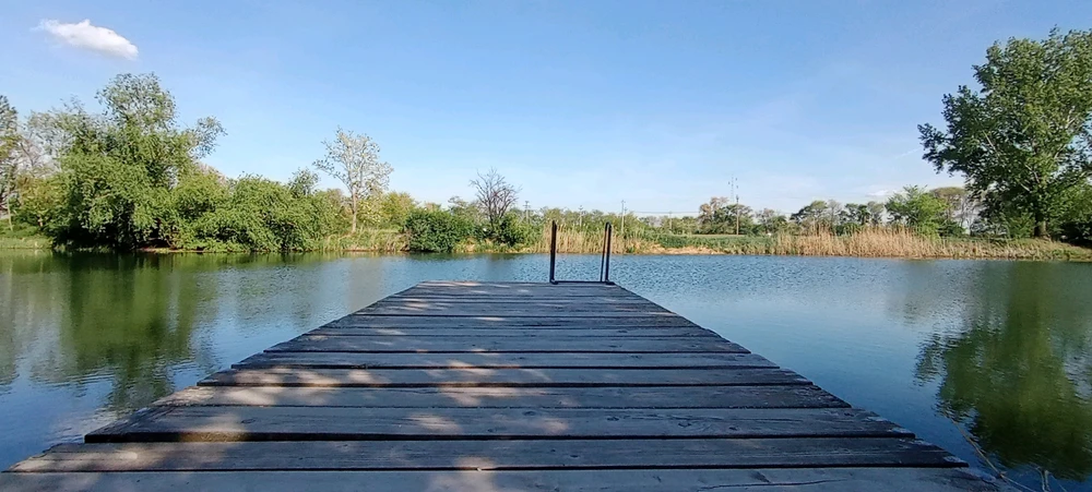 Sliku je postavio/la Ljubomir