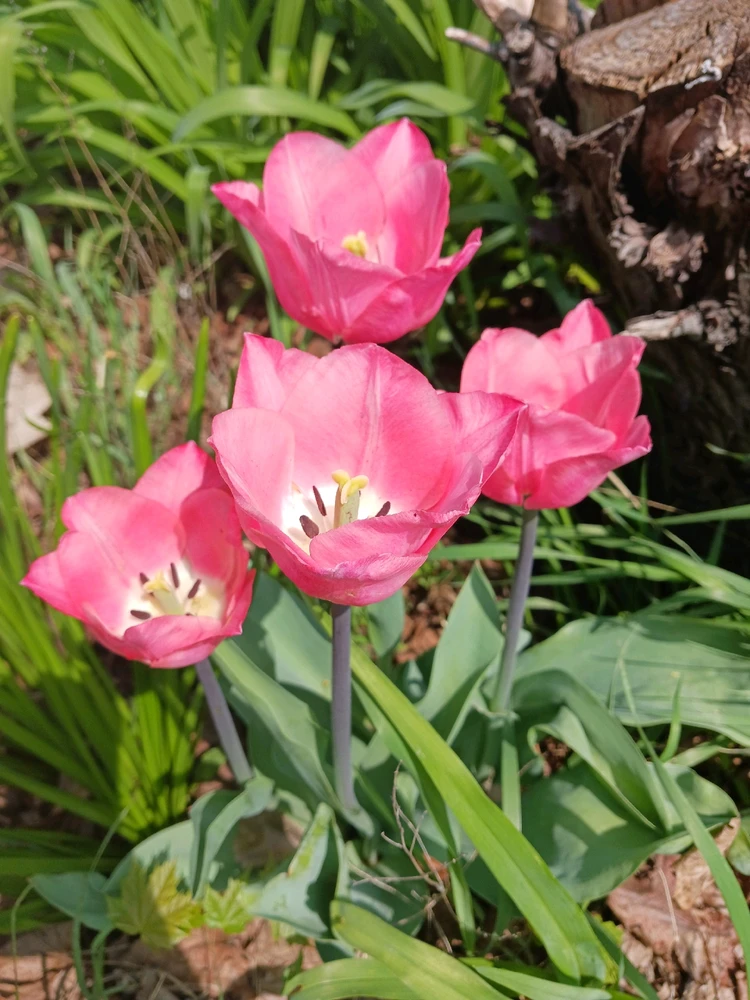 Image uploaded by Aekaterini