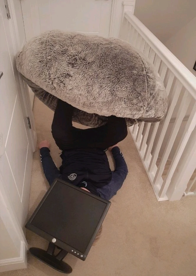 Image uploaded by Dylan