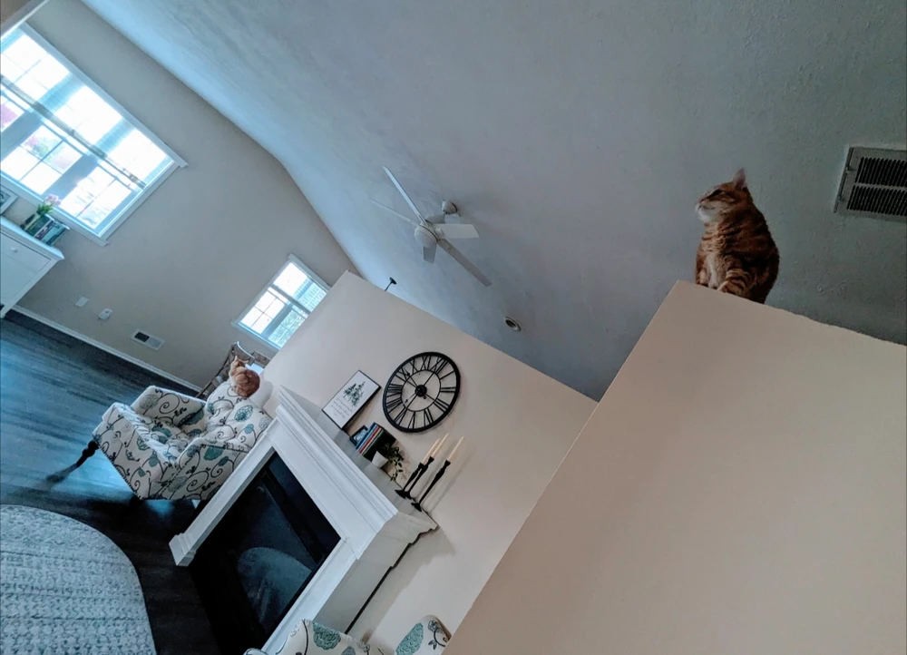 Image uploaded by Melissa