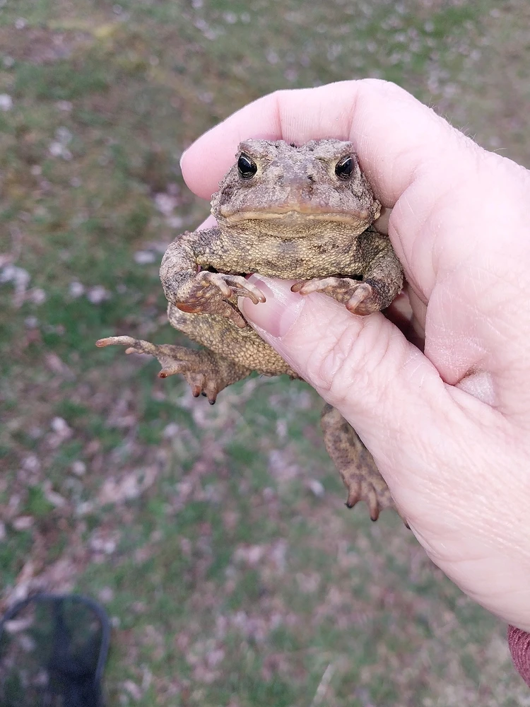 Image uploaded by Stephanie