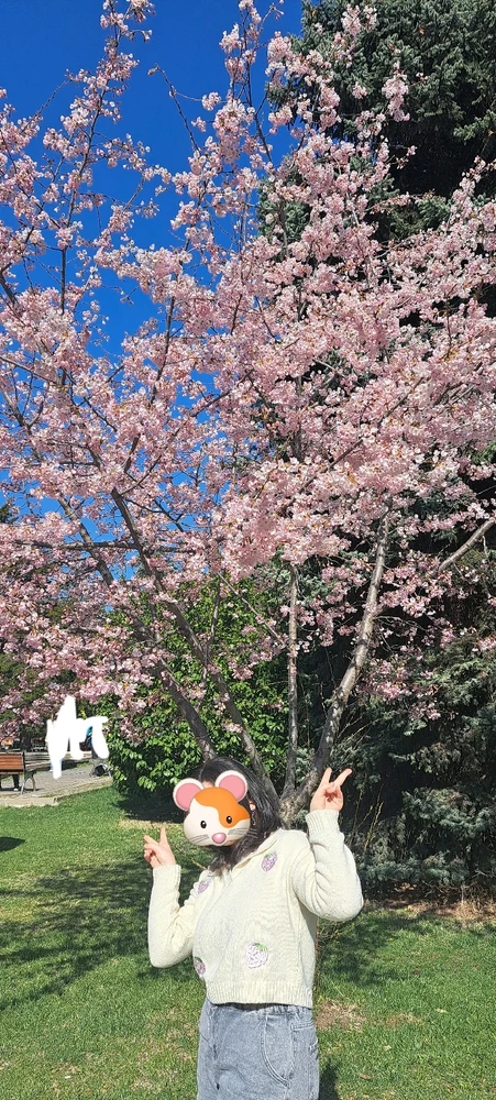 夏美がアップロードした画像