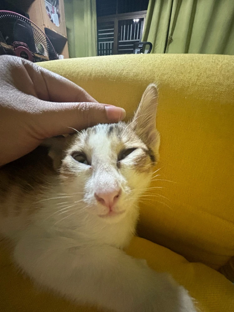 Image uploaded by Pat♡