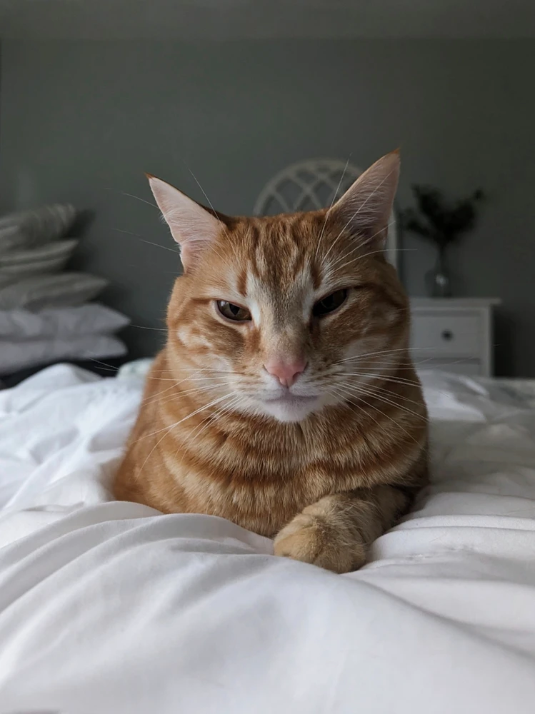 Image uploaded by Melissa