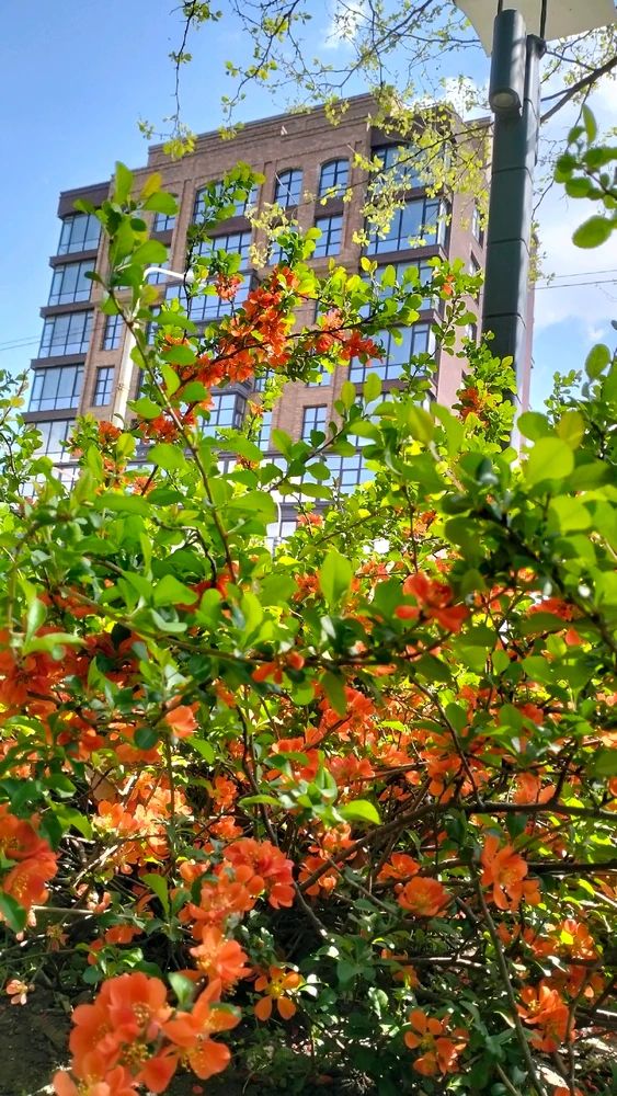 Зображення завантажив Olena