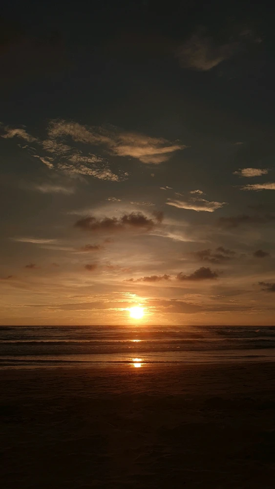 Image uploaded by Lakshan