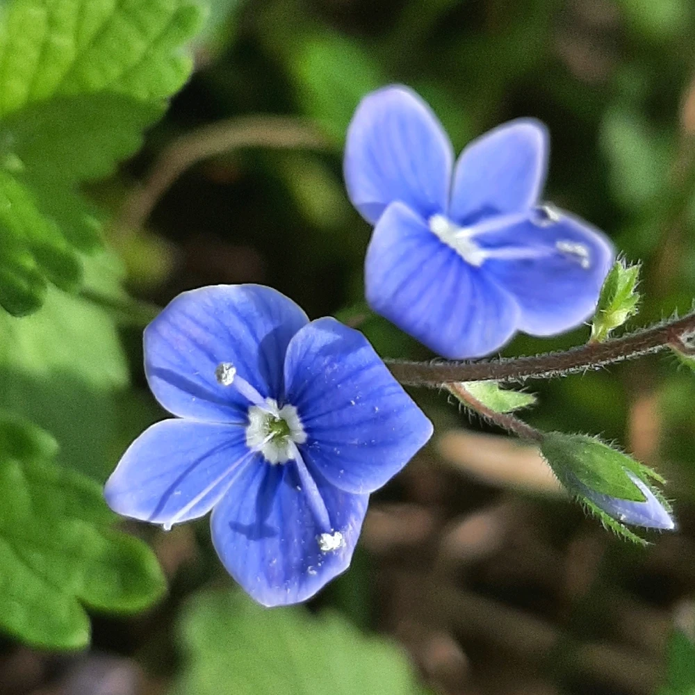 Immagine caricata da Marco