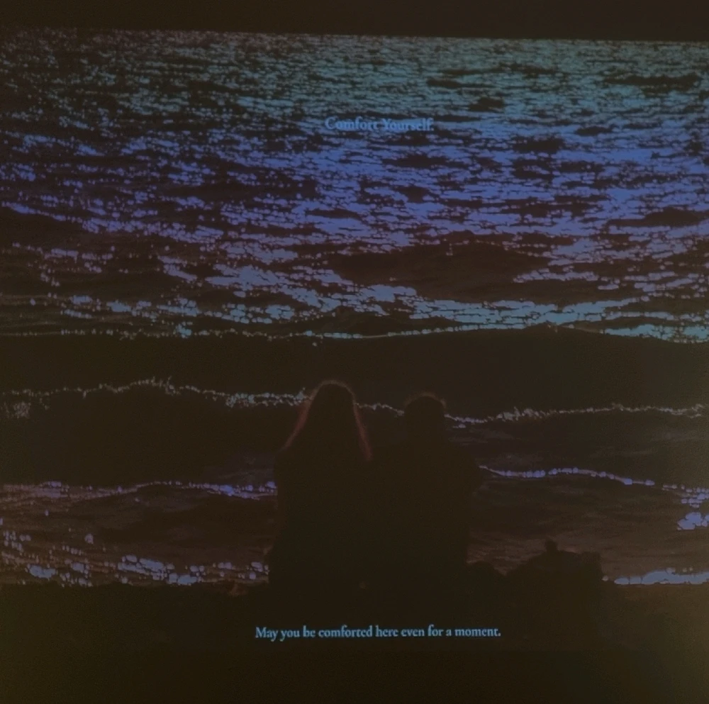 Ảnh do HARAN tải lên