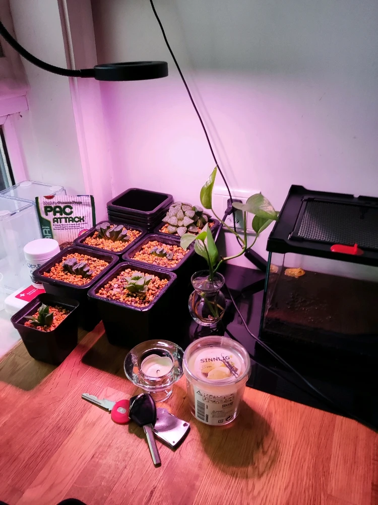 Image uploaded by Yunyi