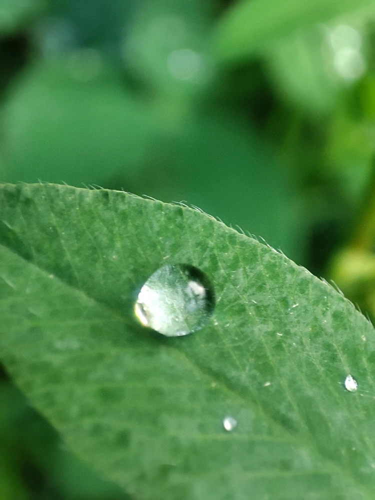 Фото загрузил Pjotrs