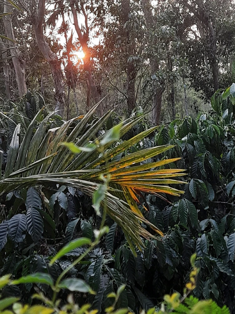 Image uploaded by Adrish