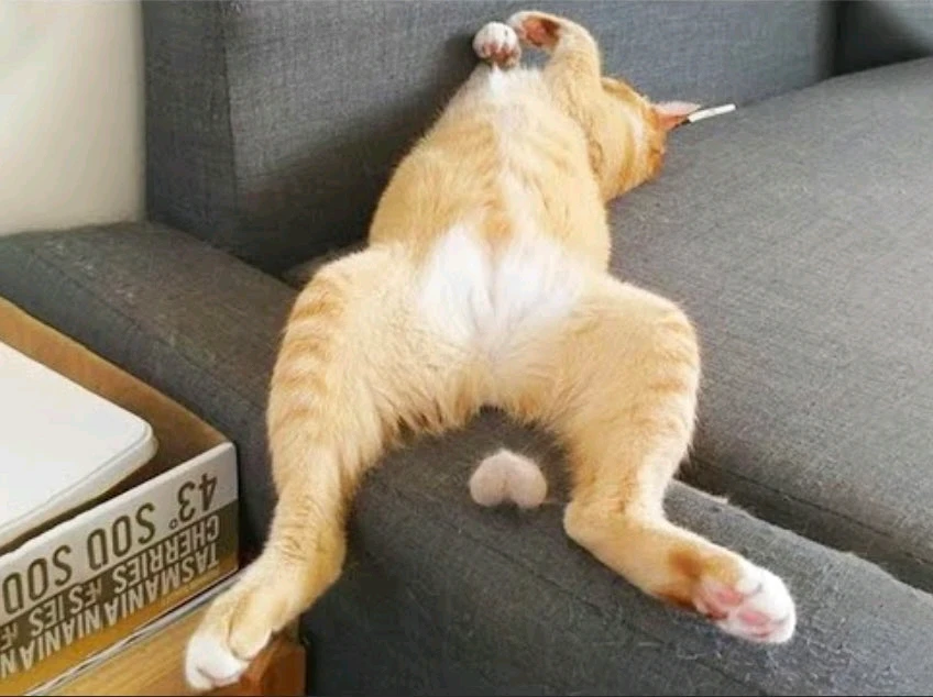 Bild hochgeladen von Vera