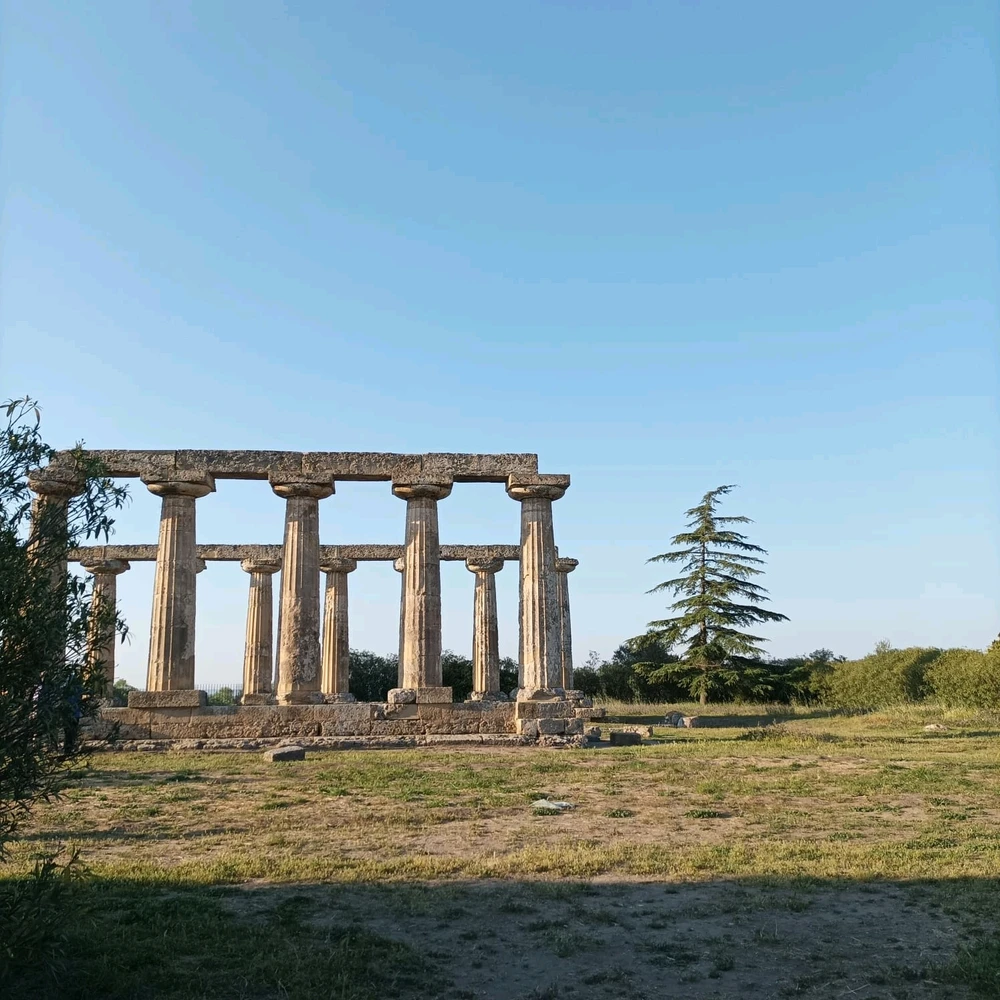 Immagine caricata da Nicola