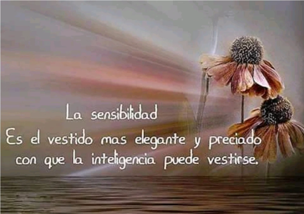 Imagen subida por Carlos 🍀🌻✨️