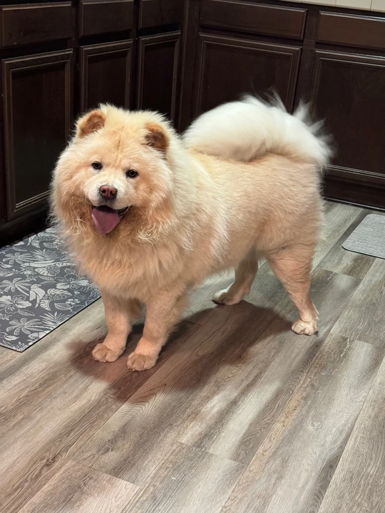 Image uploaded by matt