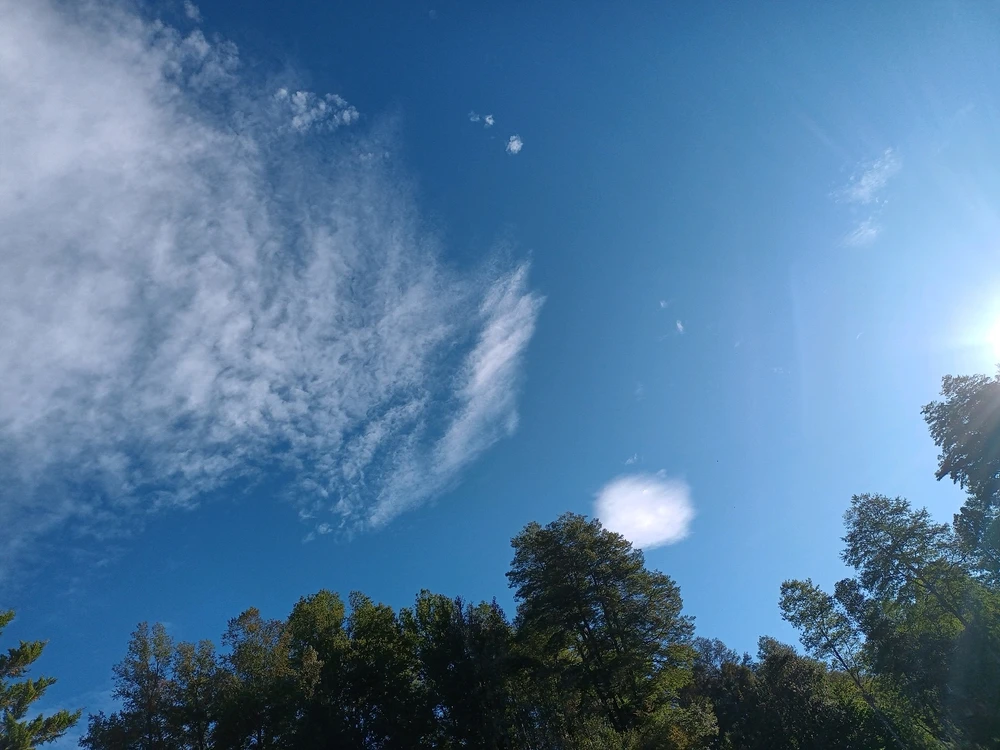 Imagen subida por Jocy