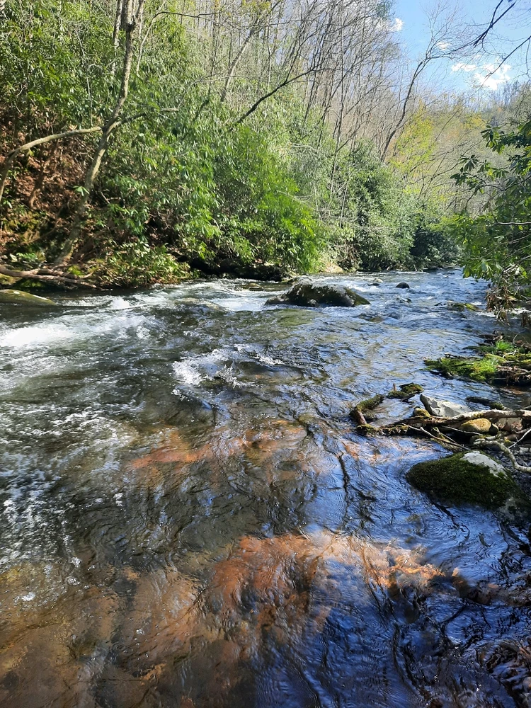 Image uploaded by Joshua Wilkins