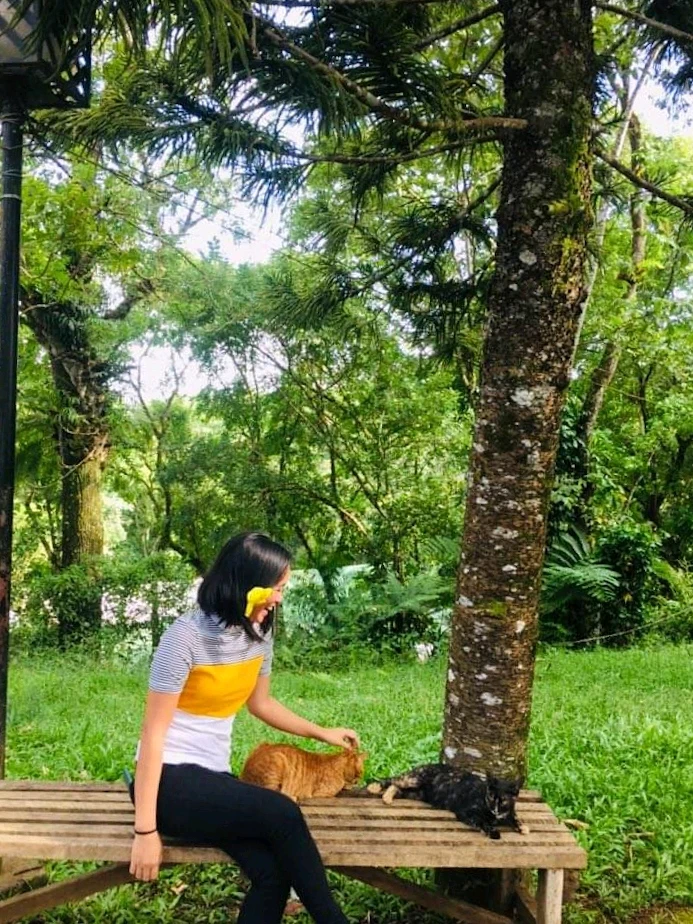 Image uploaded by Emerald
