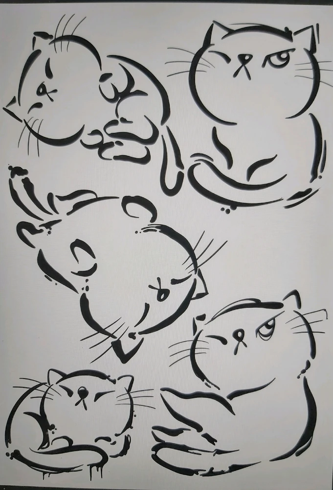 Immagine caricata da PIERLUIGI